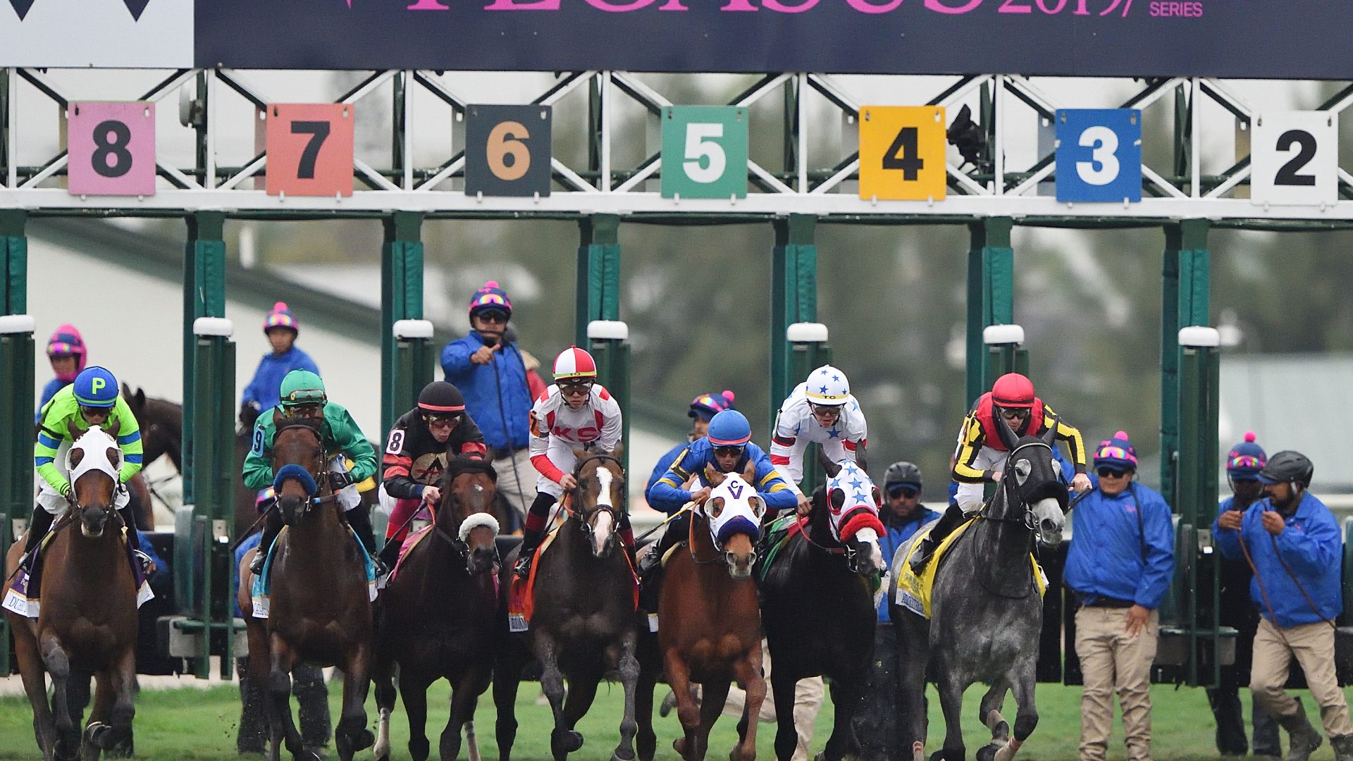 The Pegasus World Cup Turf start credit Tim Sullivan2